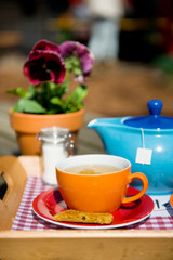 Drinking tea outdoor