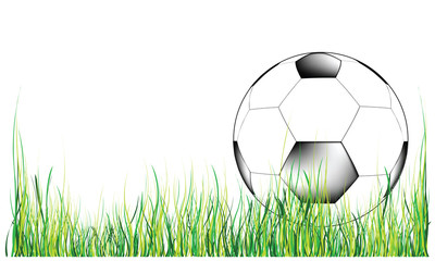 Fototapeta premium soccer ball on green grass