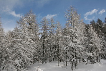 Engadina - Sankt Moritz e dintorni