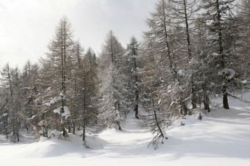 Engadina - Sankt Moritz e dintorni