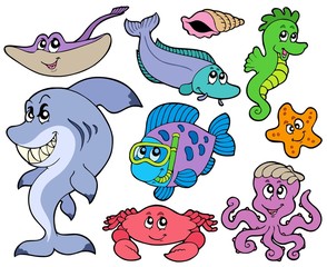 Ocean animals collection