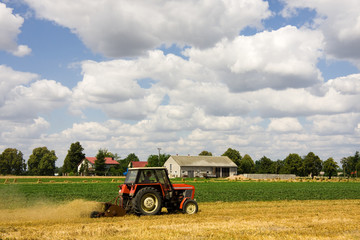 Fototapeta premium Tractor harvesting wheat field in summer day