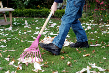 Kind hilft Laub harken