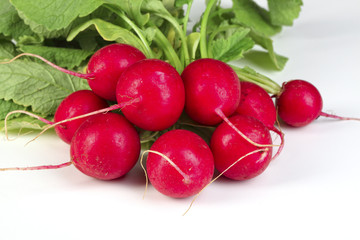 closeup on red radish