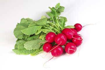 radish on white