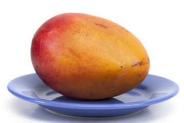 mangue