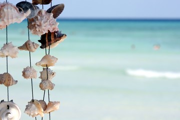 coquillages dans le vent sur la plage - 22175612