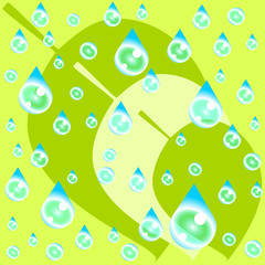 Background with green leafs and blue drops vector eps10