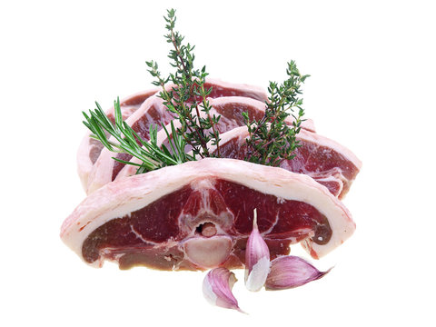 lamb saddle