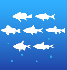 vector silhouettes fish