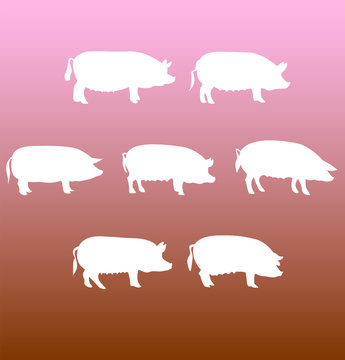 vector silhouettes pigs