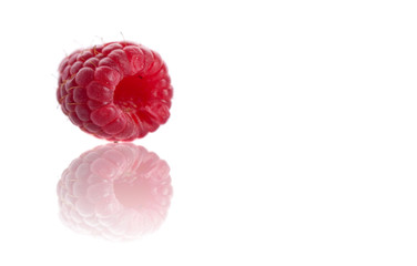 Single piece of raspberry