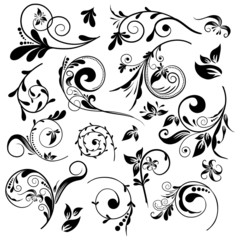Set of floral elements for design, vector