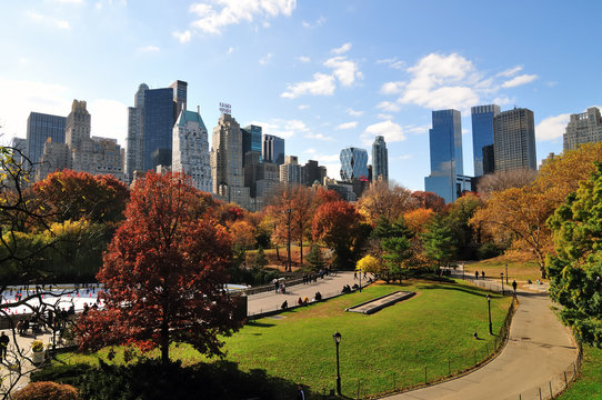 Autumn in the Central Park.
