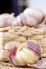 Garlic