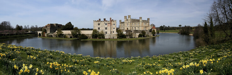 Obraz premium leeds castle spring daffodils kent