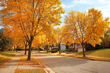 Residential Neighborhood in Autumn - Powered by Adobe
