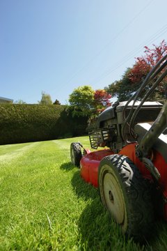 lawn care