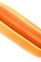 hot dog