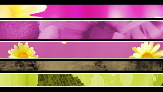 Flowers Retro and Texture Lower Thirds Loop