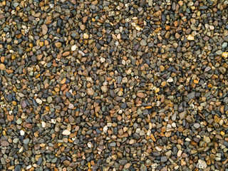 Playground Pea Gravel Wet from a Recent Shower