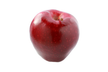 Great Red Apple