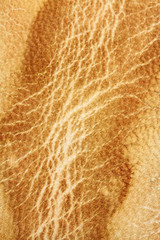 cuir, peau de chèvre véritable