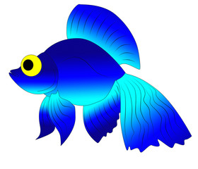 beautiful blue fish