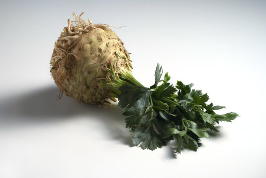 Celeriac (Knollensellerie)