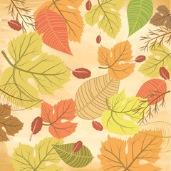autumn background