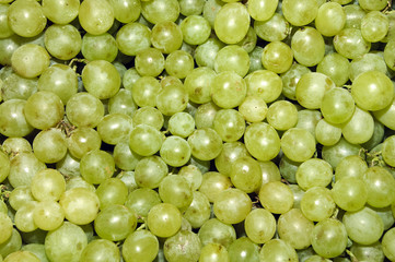 grapes