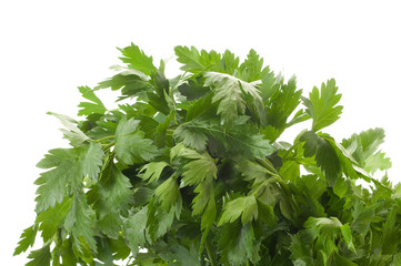 parsley isolated on white