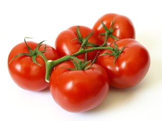 Strauchtomaten