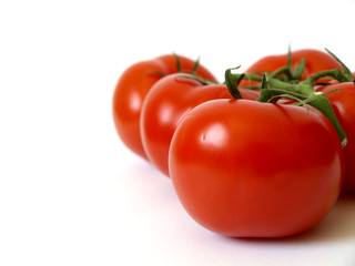 Strauchtomaten