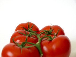 Strauchtomaten