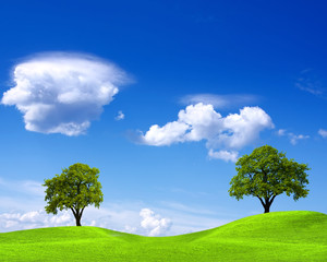 Fototapeta na wymiar Spring landscape on blue sky