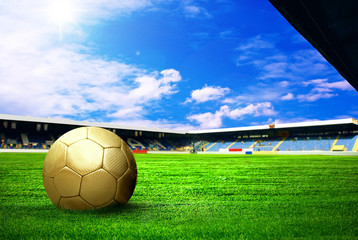 Happiness football player after goal on the field of stadium wit
