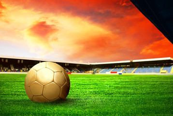 Happiness football player after goal on the field of stadium wit