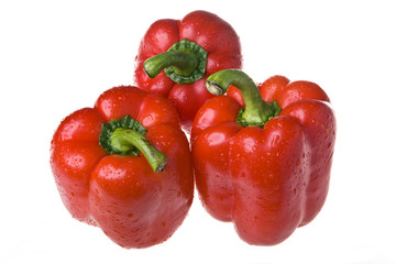 red juicy peppers in drops of water  on white background