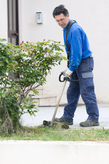 brush cutting