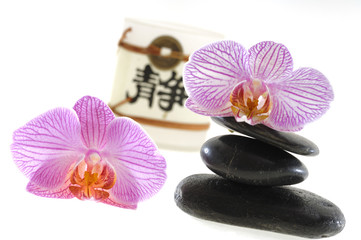 Fototapeta na wymiar Kamienie z orchidei