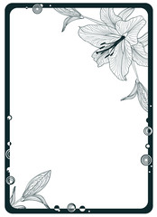 Frame with flower lily and space for text