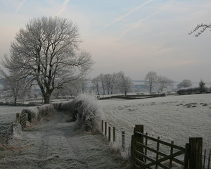 dales track
