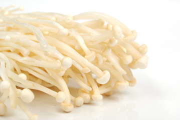 flammulina velutipes