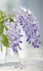 glycine