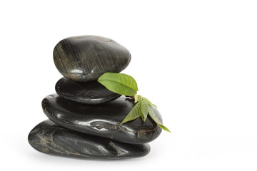 Balancing Stones And Green Leaves