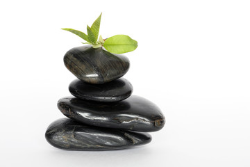 Balancing Stones And Green Leaves