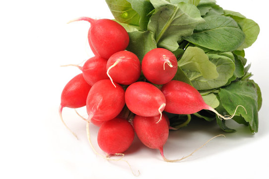 Radish