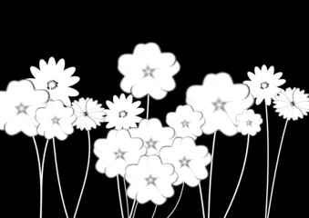 Crédence de cuisine en verre imprimé Fleurs noir et blanc fond floral