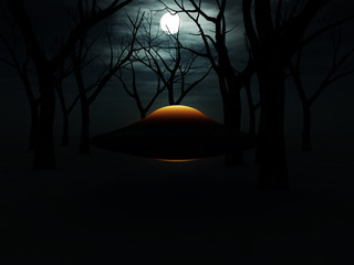 UFO In The Forest